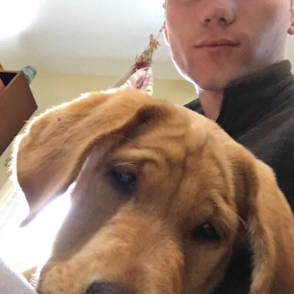 Meet your Posher, Eliot